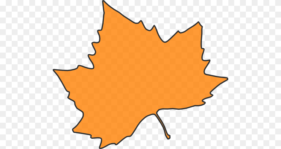 Maple Leaf Clipart Orange, Maple Leaf, Plant, Tree Png