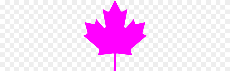 Maple Leaf Clipart Purple, Plant, Maple Leaf Free Transparent Png