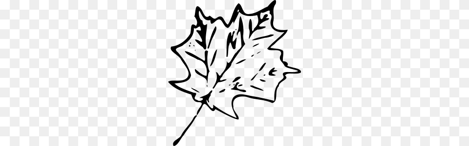 Maple Leaf Clipart Small Leaf, Gray Free Png