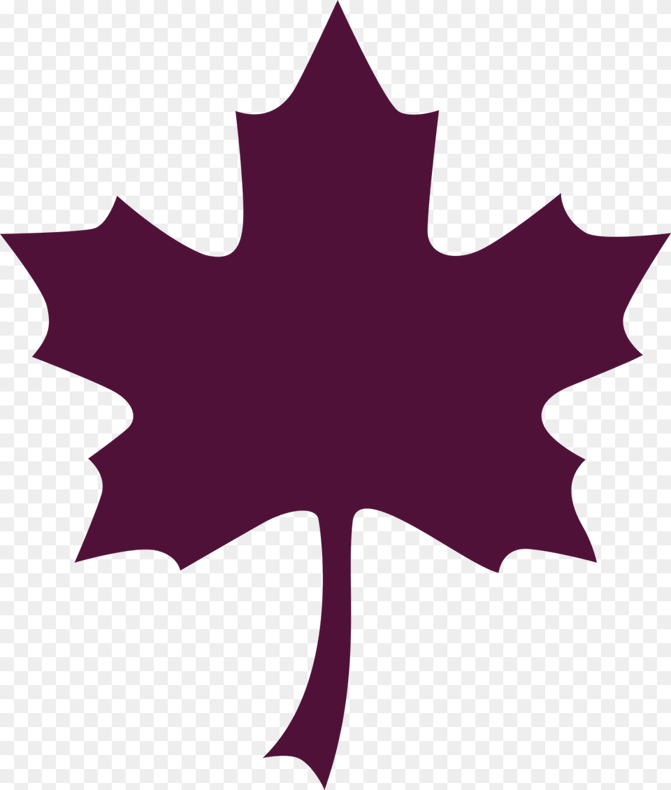 Maple Leaf Clipart Stylized, Maple Leaf, Plant, Person, Tree Free Transparent Png