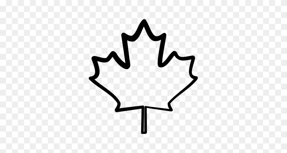 Maple Leaf Clipart Transparent, First Aid, Symbol Free Png Download