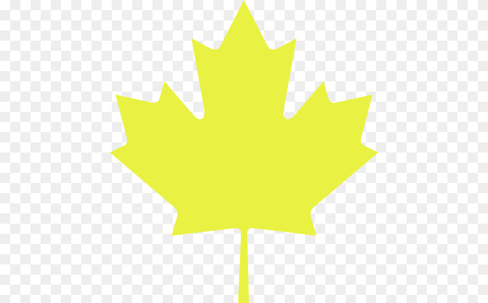 Maple Leaf Clipart Yellow Yellow Maple Leaf, Maple Leaf, Plant, Animal, Fish Png