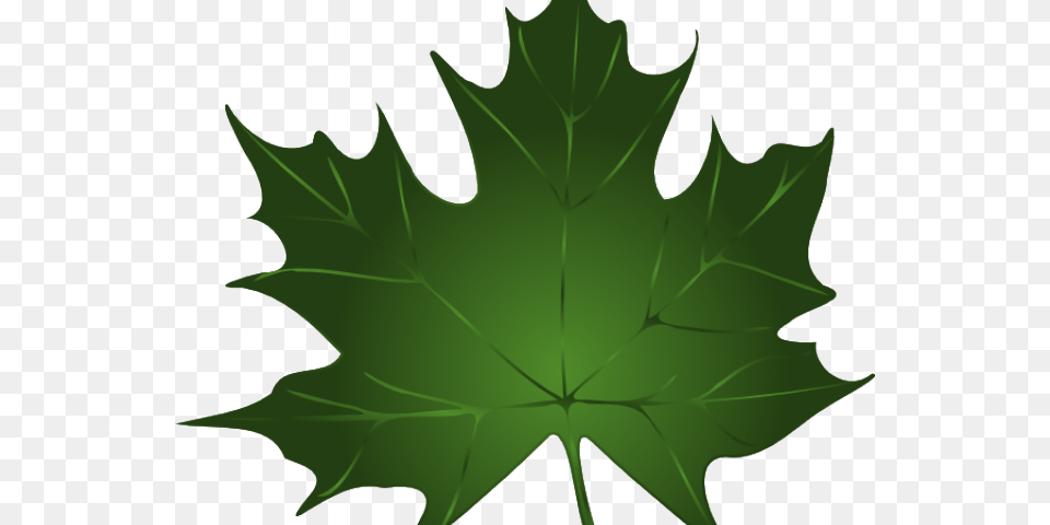 Maple Leaf Cliparts Green Fall Leaves Clip Art, Maple Leaf, Plant, Tree Free Png