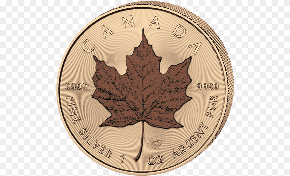 Maple Leaf Color Coin, Plant, Money Png Image