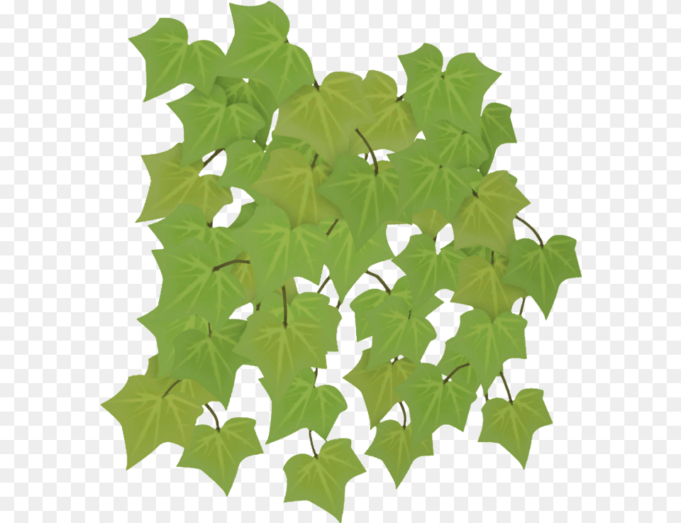 Maple Leaf Flower, Green, Plant, Tree, Ivy Free Png Download