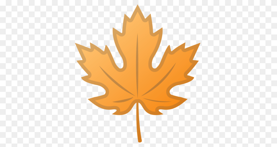 Maple Leaf Emoji, Maple Leaf, Plant, Tree, Person Png