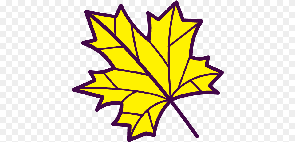 Maple Leaf Free Icon Of Autumn Hand Drawn Red Maple, Maple Leaf, Plant, Tree Png Image