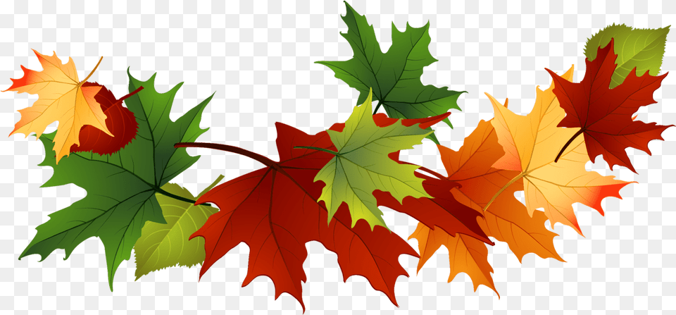 Maple Leaf Garland Transparent Stickpng Autumn Leaves Clip Art, Plant, Tree, Maple Leaf Free Png Download