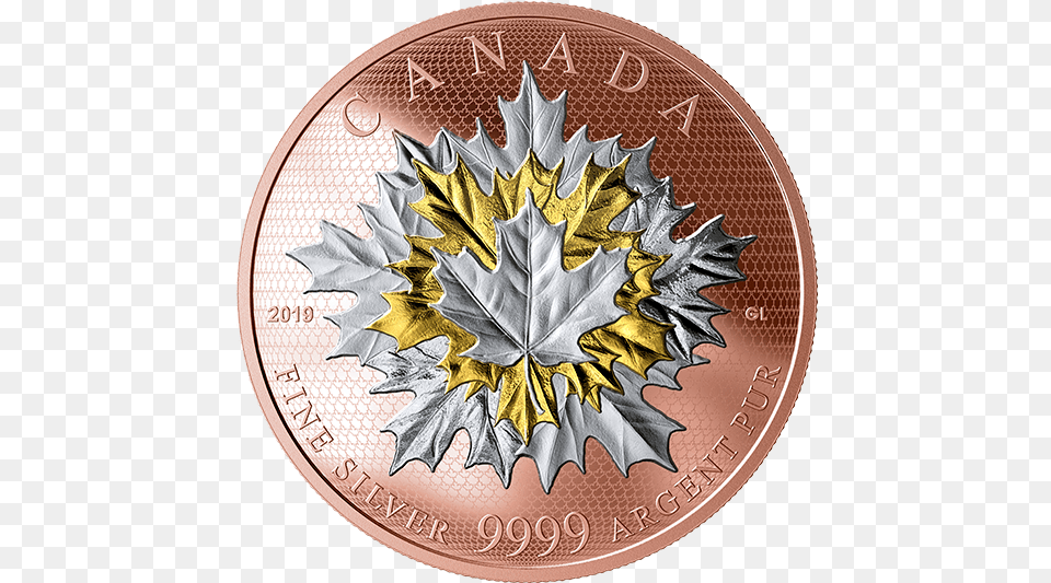 Maple Leaf Gold Coin 2019, Plant, Silver, Money Free Png