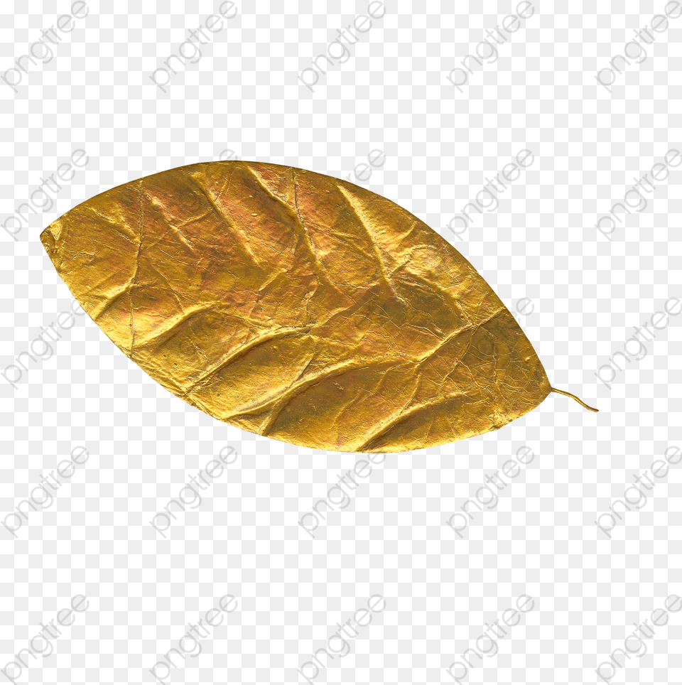 Maple Leaf Gold Golden Decoration Brass, Plant, Astronomy, Moon, Nature Free Transparent Png