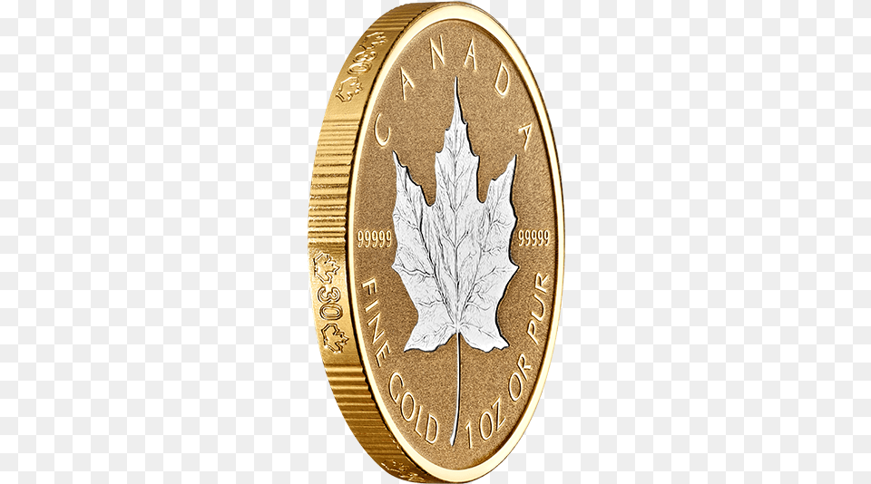 Maple Leaf Gold Oz Pure Coin Coin, Plant, Money Free Png Download