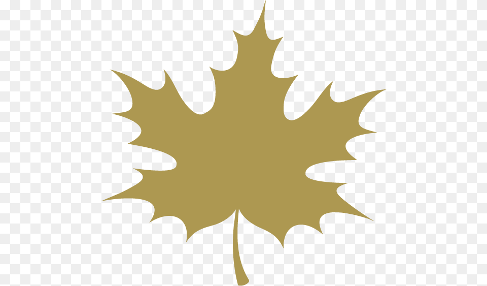 Maple Leaf Icon, Maple Leaf, Plant, Animal, Fish Png