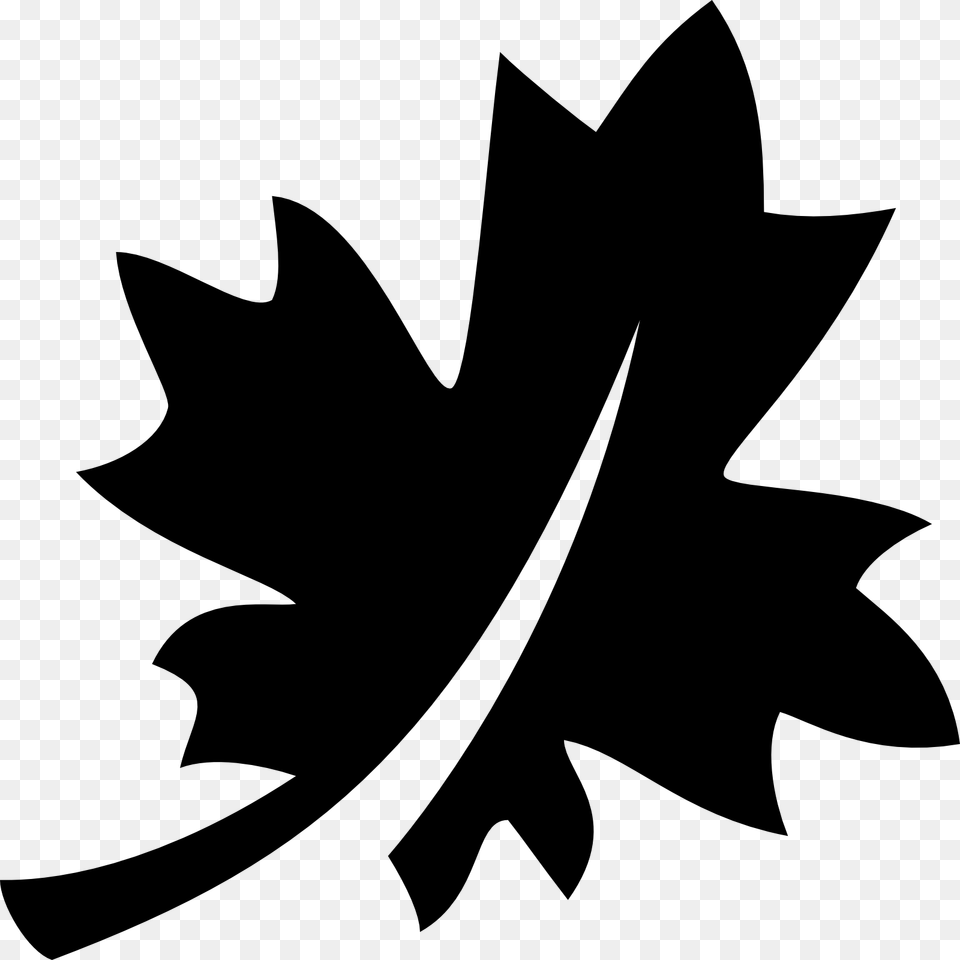 Maple Leaf Icon Infographic Clinical Trial Statistics, Plant, Silhouette, Stencil, Animal Free Transparent Png