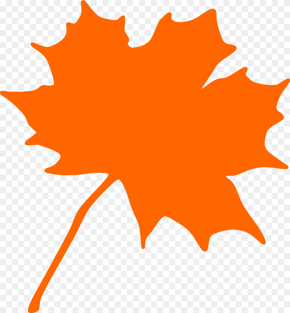 Maple Leaf Icons, Maple Leaf, Plant, Tree, Animal Free Png
