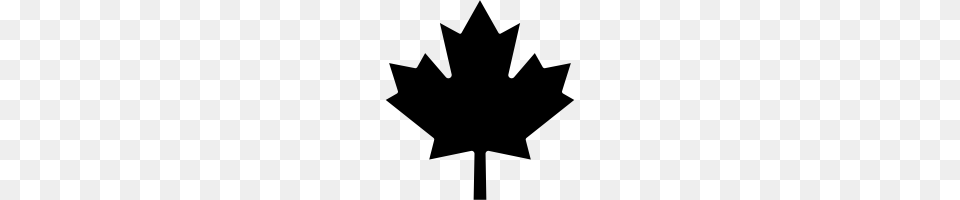 Maple Leaf Icons Noun Project, Gray Free Png Download