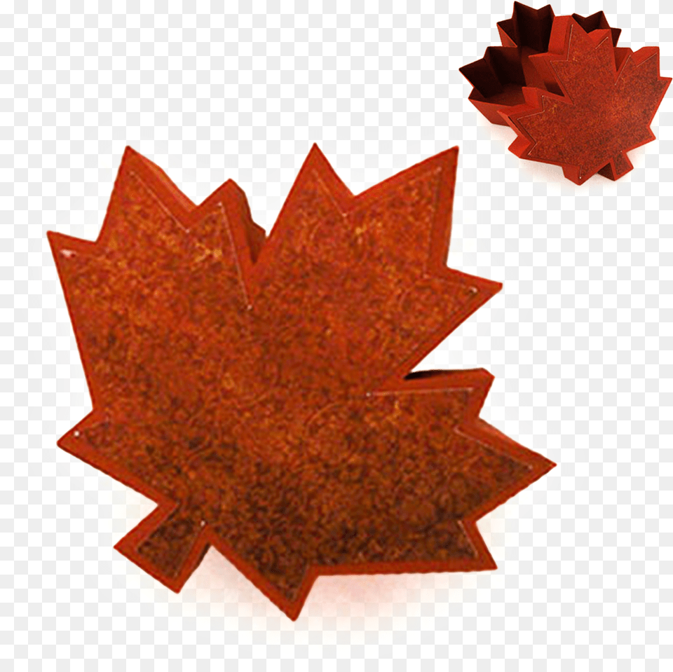 Maple Leaf Information Shape Maple Leaf, Plant, Tree, Maple Leaf Free Png