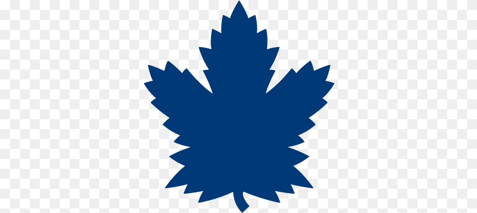 Maple Leaf Logo Silhouette Toronto Maples Leafs New Logo, Plant, Maple Leaf, Tree Free Png Download