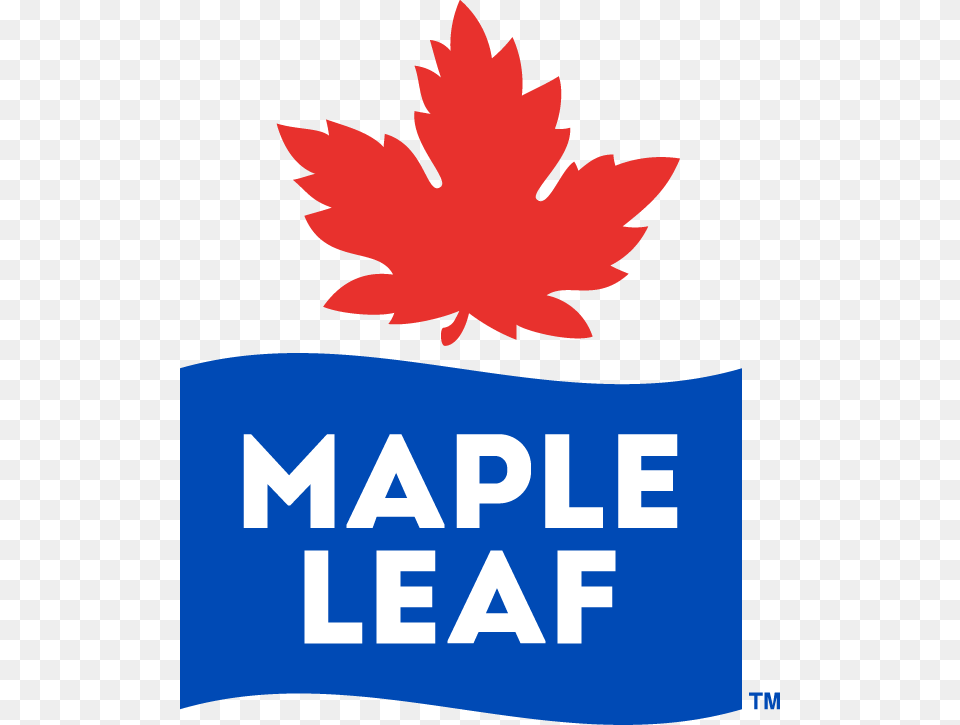 Maple Leaf Maple Leaf Foods Logo, Plant Free Png