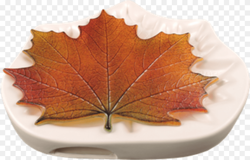 Maple Leaf Mold, Birthday Cake, Plant, Food, Dessert Free Png Download
