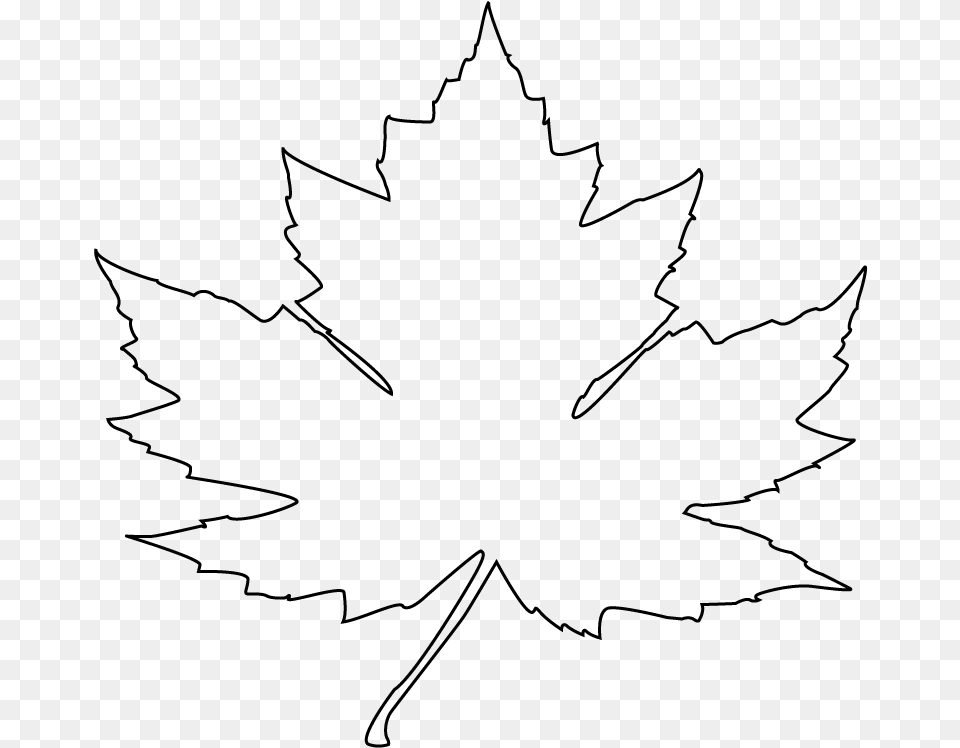 Maple Leaf Outline, Gray Png