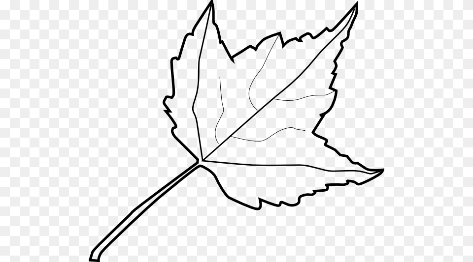 Maple Leaf Outline Clip Art, Maple Leaf, Plant, Bow, Weapon Png Image