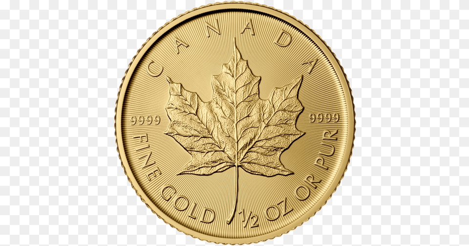 Maple Leaf Royal Canadian, Plant, Gold, Coin, Money Free Png