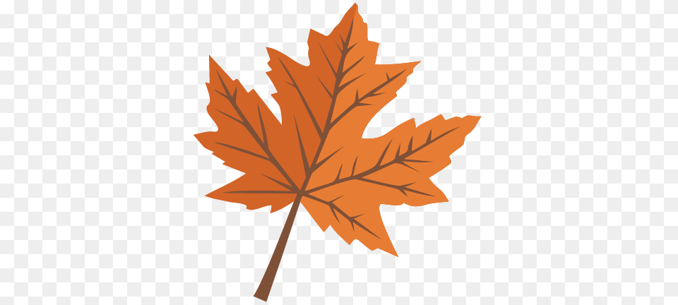 Maple Leaf Scrapbook Cute Clipart, Plant, Tree, Maple Leaf Free Transparent Png