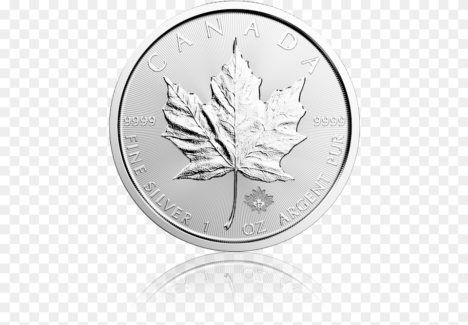Maple Leaf Silber 2018, Plant, Silver, Coin, Money Free Png Download