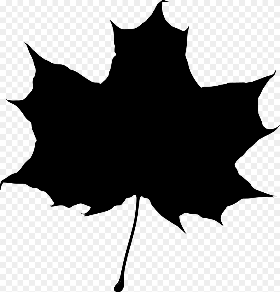 Maple Leaf Silhouette, Plant, Maple Leaf, Animal, Cat Free Png