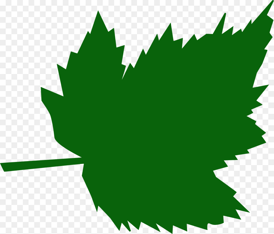 Maple Leaf Silhouette, Plant, Tree, Maple Leaf Free Png