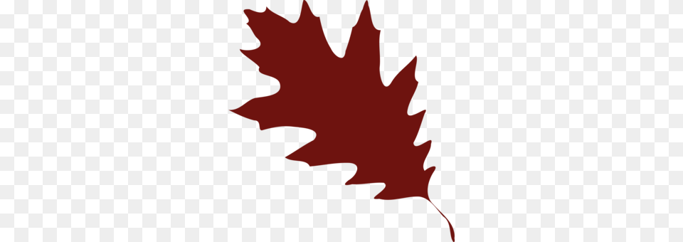 Maple Leaf Silhouette Drawing Line Art, Maple Leaf, Plant, Tree, Person Free Png