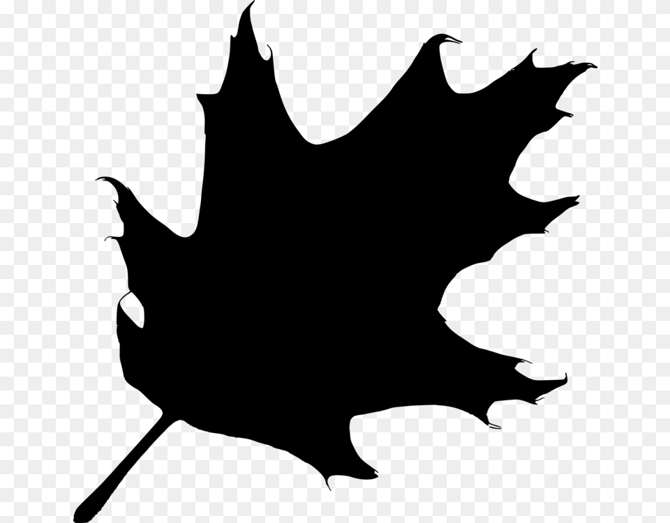 Maple Leaf Silhouette Drawing Line Art, Gray Png Image