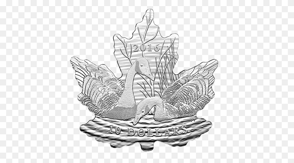 Maple Leaf Silhouette Silver Coin, Animal, Bird, Waterfowl, Goose Png Image