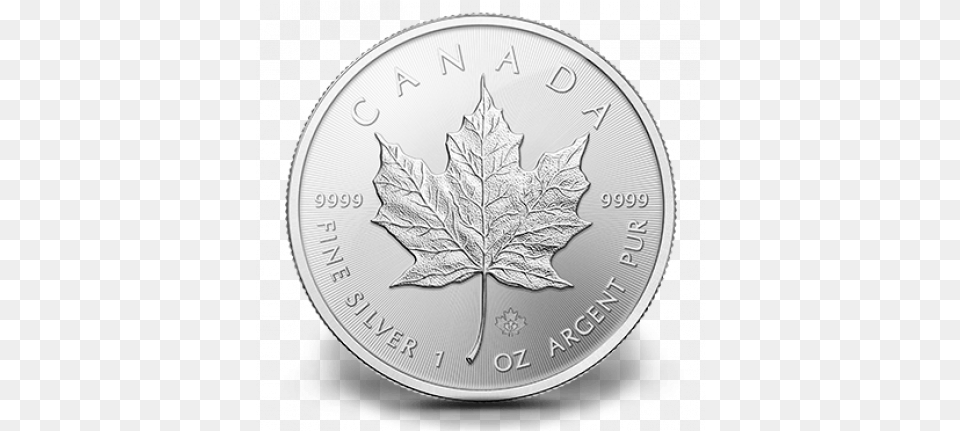 Maple Leaf Silver Palladium Maple Leaf, Plant, Coin, Money, Accessories Png Image
