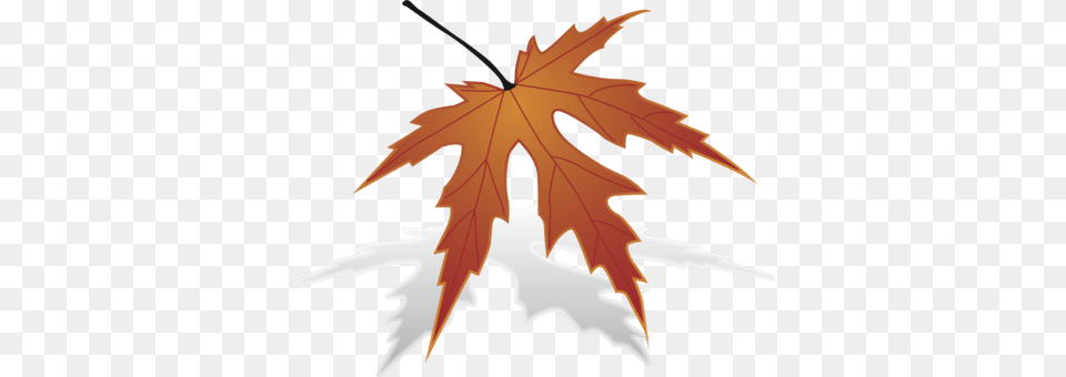 Maple Leaf Sugar Maple Computer Icons Japanese Maple, Tree, Plant, Maple Leaf, Fish Free Png