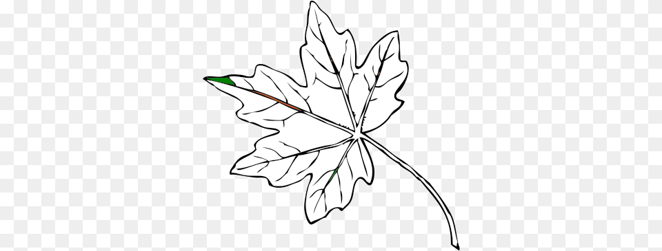 Maple Leaf Svg Clip Art For Web Fall Leaves Clip Art, Maple Leaf, Plant, Tree, Person Free Png Download