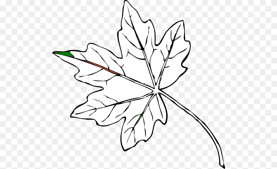 Maple Leaf Svg Clip Arts Fall Leaves Clip Art, Maple Leaf, Plant, Tree, Animal Png