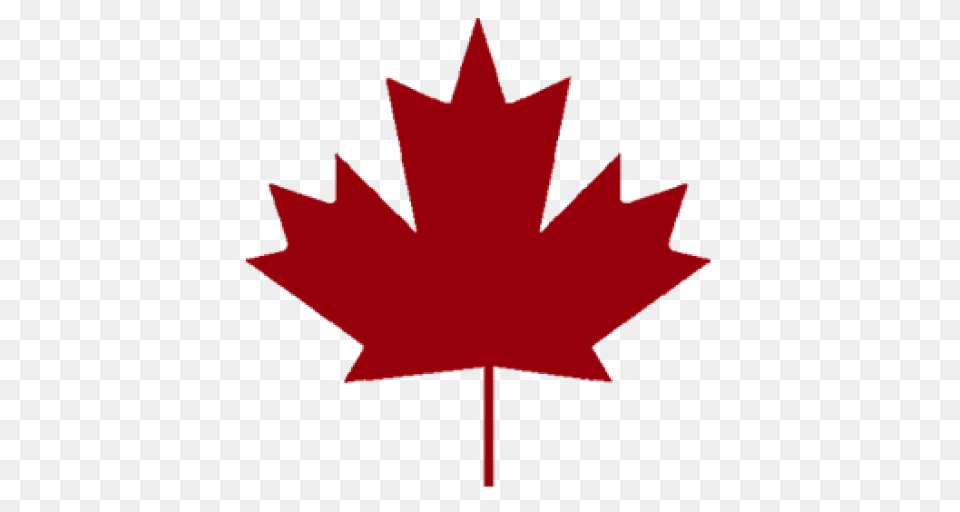 Maple Leaf Transparent Maple Leaf, Maple Leaf, Plant, Tree Png