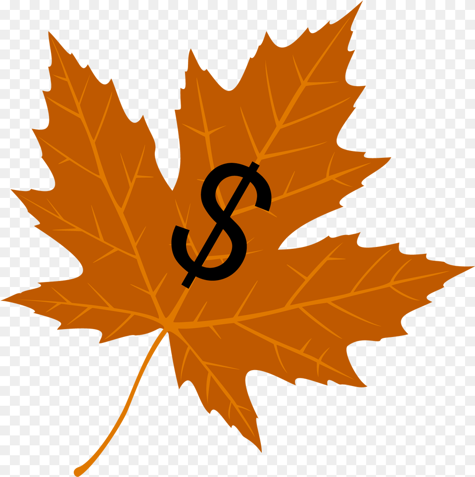 Maple Leafs Line, Leaf, Plant, Tree, Maple Leaf Free Png Download
