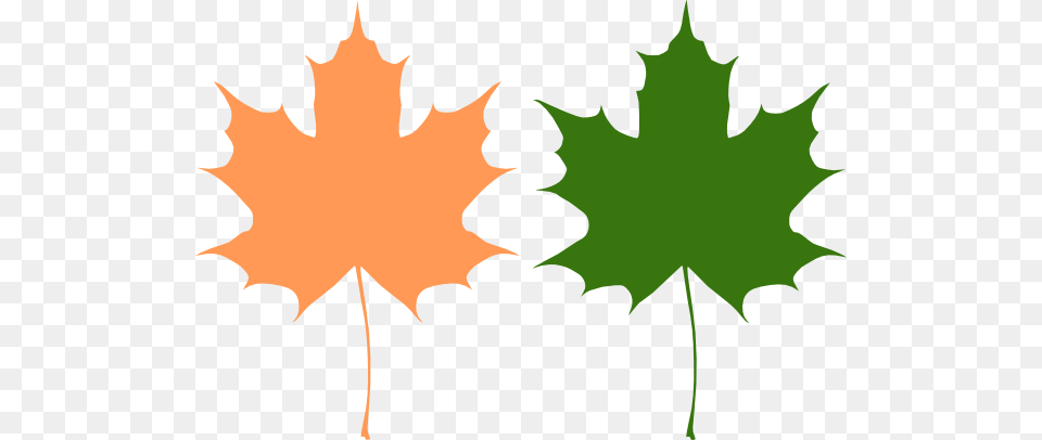 Maple Leaves Clip Arts For Web, Leaf, Maple Leaf, Plant, Tree Free Png Download