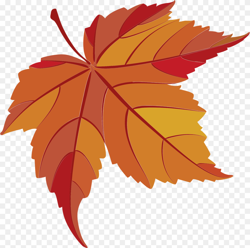 Maple Leaves Clipart, Leaf, Plant, Tree, Maple Leaf Free Png