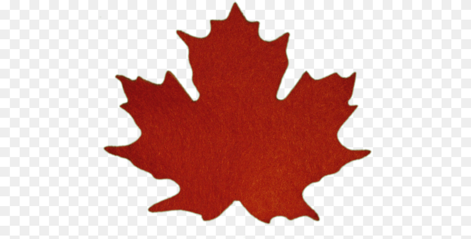 Maple Leaves Sugar Maple Leaf 587x500 Clipart Download Flag Maple Leaf Canada, Plant, Tree, Maple Leaf Free Png