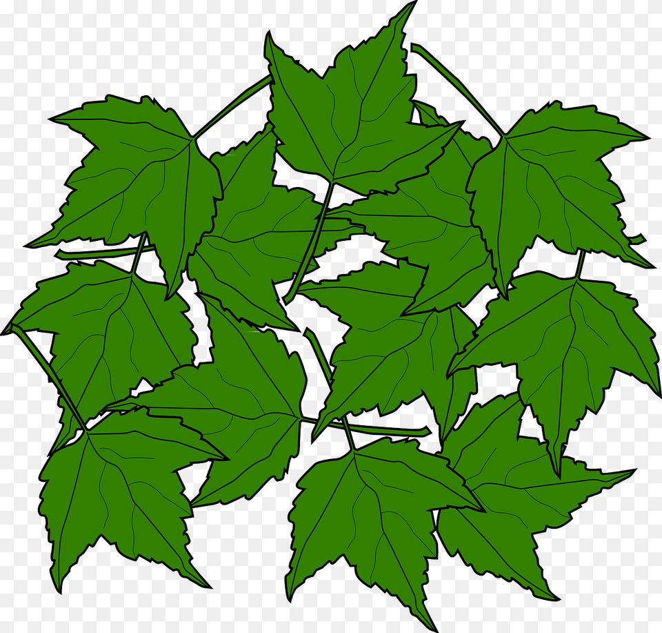 Maple Leaves Svg Clip Arts Portable Network Graphics, Leaf, Oak, Plant, Sycamore Free Png Download