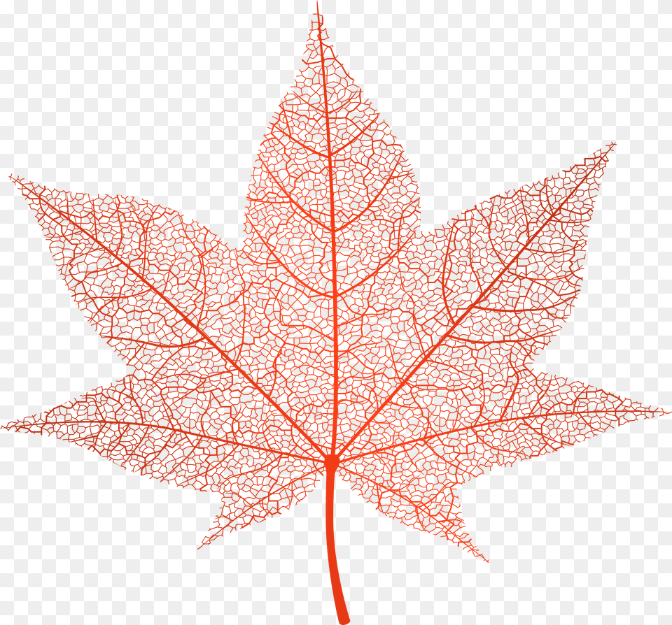 Maple Leaves Transparent Red Autumn Leaf Clip Art Autumn Leaves Clip Art, Plant, Tree, Maple Leaf Free Png