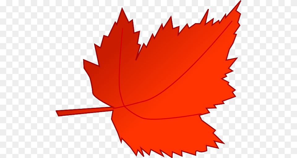 Maple Red Leaf Clip Art, Plant, Tree, Maple Leaf, Dynamite Free Png