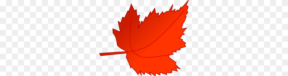 Maple Red Leaf Clip Art, Plant, Tree, Maple Leaf, Person Png