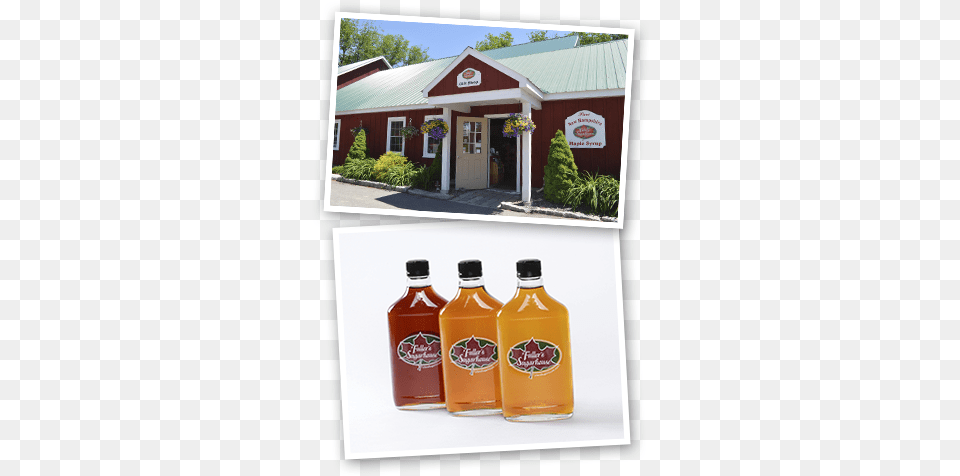 Maple Syrup Grades Fuller39s Sugarhouse Llc, Food, Ketchup, Seasoning, Plant Png