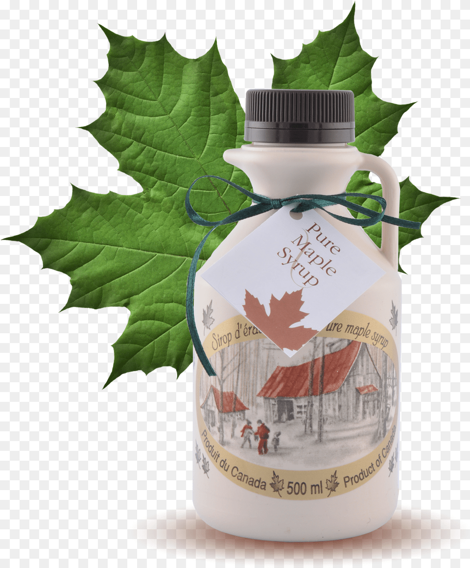 Maple Syrup Pint 500ml Maple Syrup Maple Leaf Canada Souvenirs, Plant, Bottle, Person, Tree Free Png