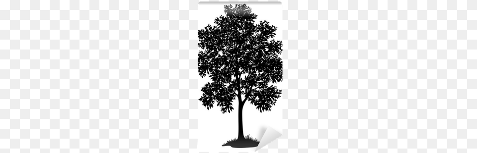 Maple Tree And Grass Silhouette Wall Mural Pixers Big Leaf Maple Tree Silhouette, Oak, Plant, Tree Trunk, Sycamore Free Png Download