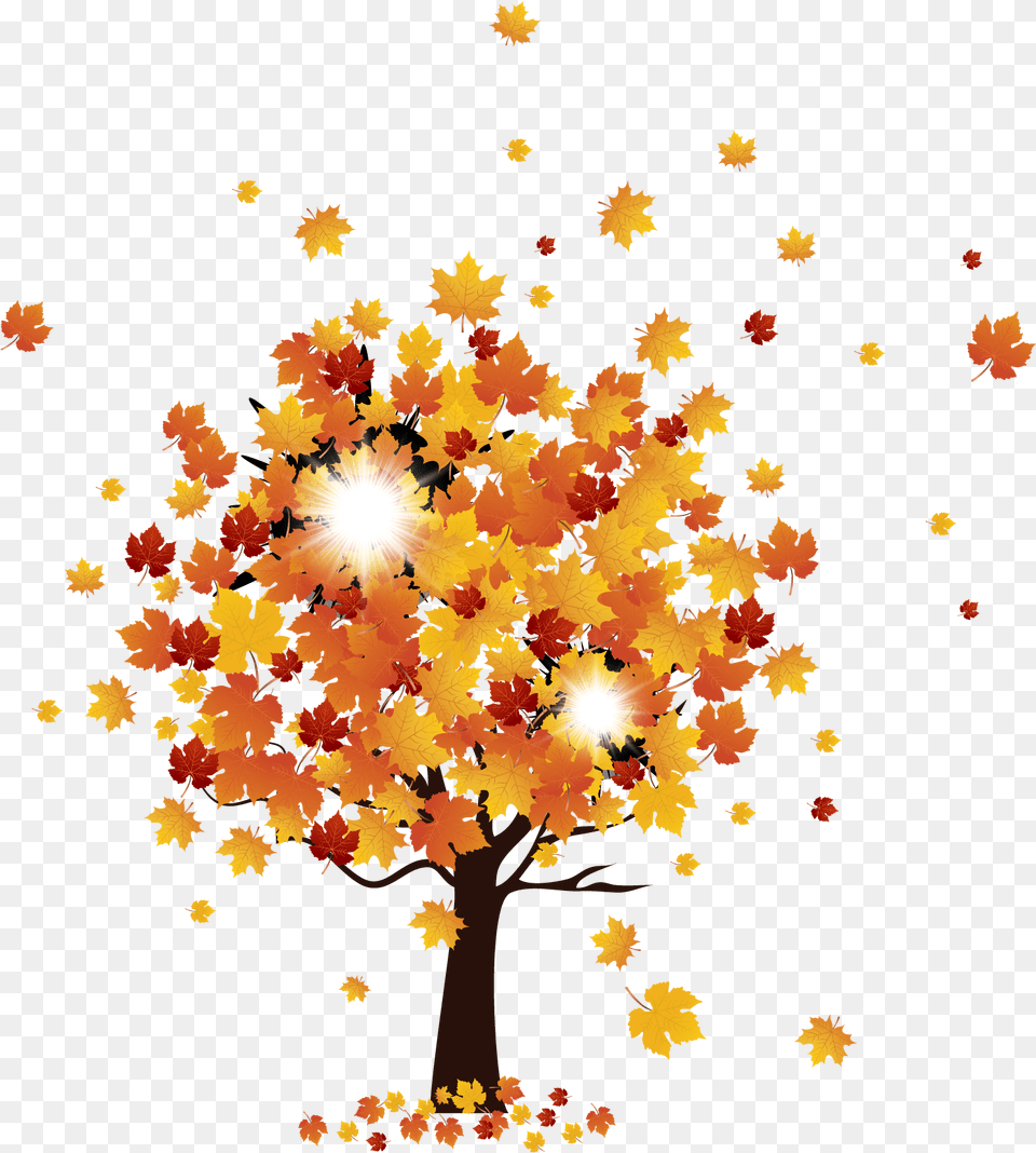 Maple Tree Autumn Graphic, Leaf, Plant Png